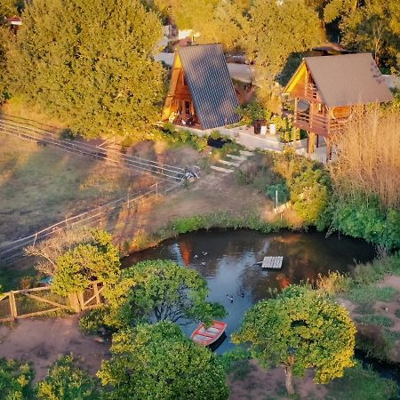 Casa Da Avo - Vale Da Silva Villas Албергария-а-Велья Экстерьер фото