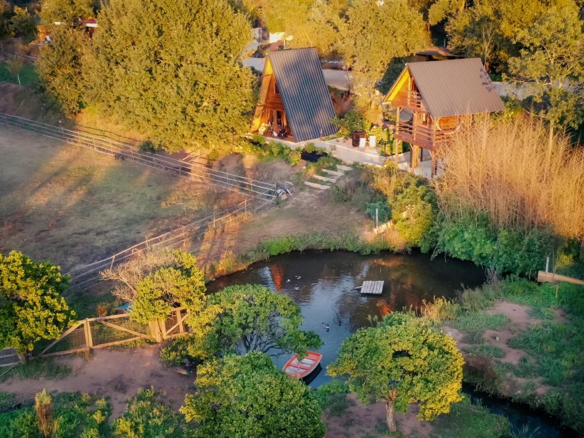 Casa Da Avo - Vale Da Silva Villas Албергария-а-Велья Экстерьер фото
