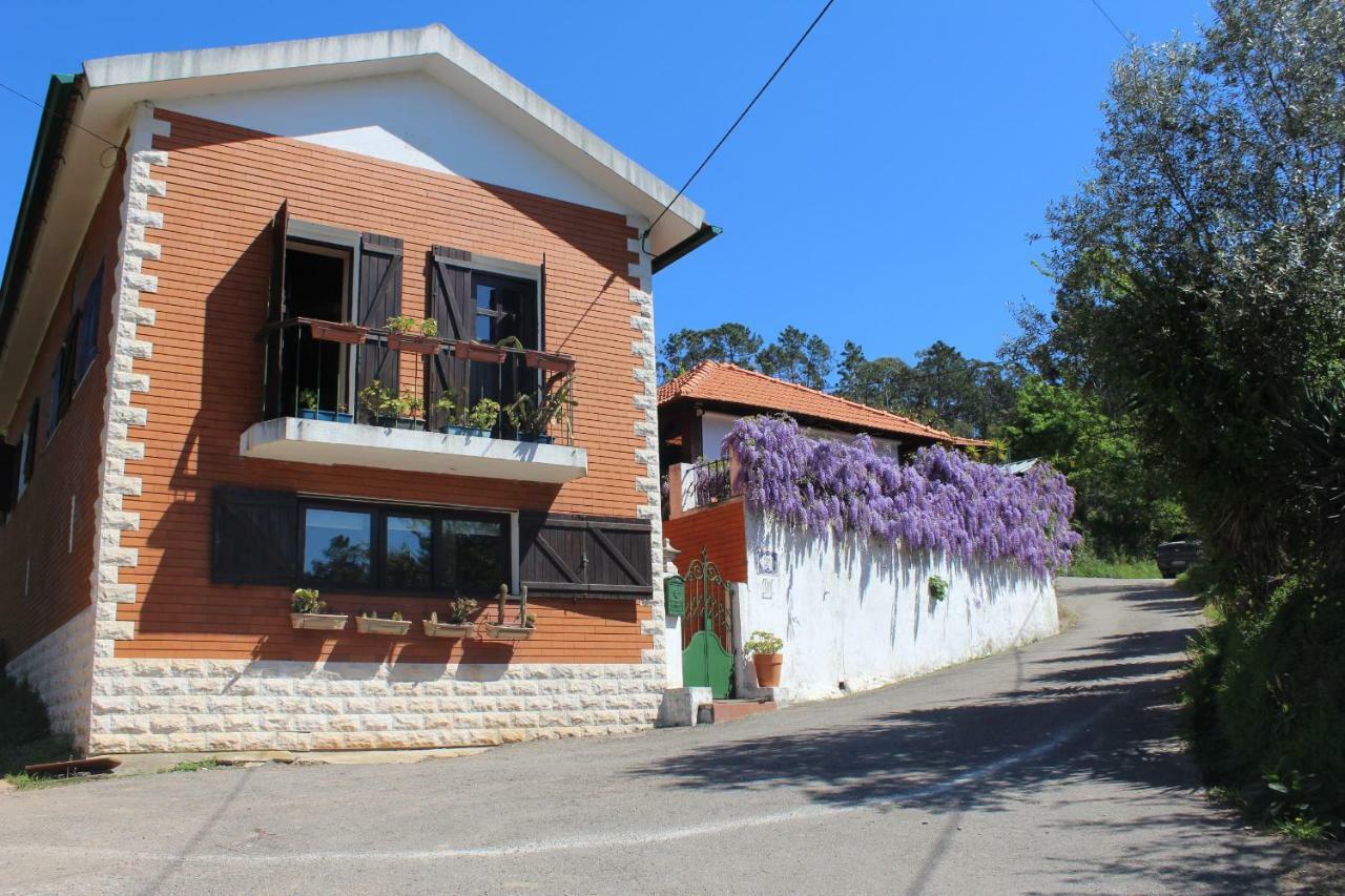 Casa Da Avo - Vale Da Silva Villas Албергария-а-Велья Экстерьер фото